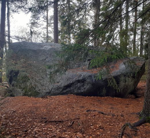 patikkaretki metsassa kivi