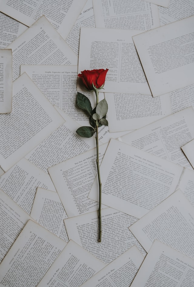 kirjan ja ruusun päivä